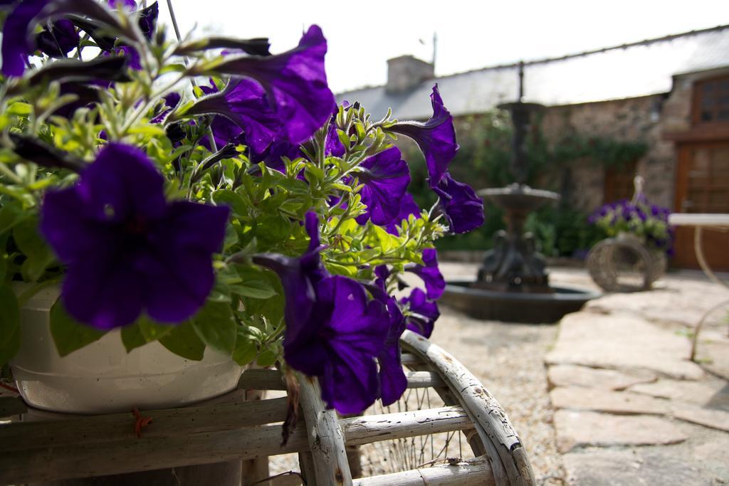 Bed and Breakfast Relais Saint Aubin Erquy Exterior foto